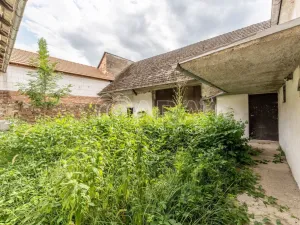 Pronájem obchodního prostoru, Štěpánovice, 440 m2