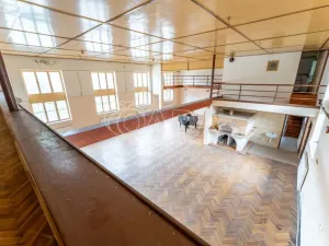 Pronájem obchodního prostoru, Štěpánovice, 440 m2