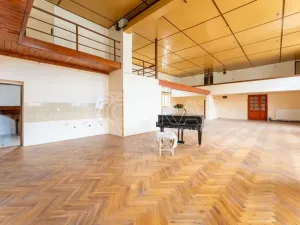 Pronájem obchodního prostoru, Štěpánovice, 440 m2