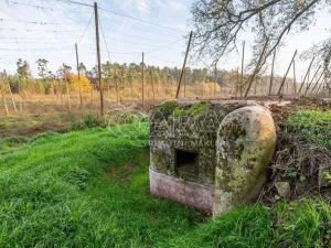 Prodej ubytování, Kolešov, 21 m2