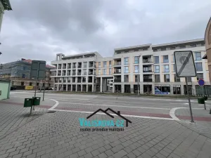 Pronájem bytu 3+1, Kroměříž, Velehradská, 89 m2