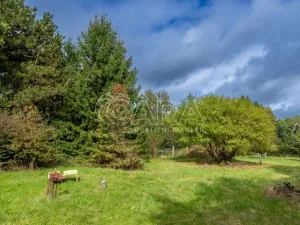 Prodej pozemku pro bydlení, Plzeň - Vnitřní Město, 2055 m2