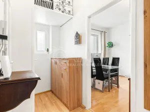 Prodej bytu 1+1, Praha - Veleslavín, Evropská, 45 m2