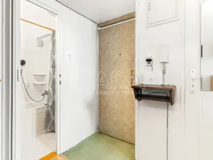 Prodej bytu 1+1, Praha - Veleslavín, Evropská, 45 m2