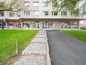 Pronájem bytu 2+1, Praha - Nusle, Nuselská, 45 m2