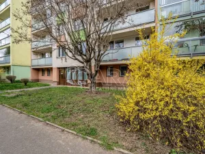 Pronájem bytu 2+kk, Praha - Libuš, K lukám, 43 m2