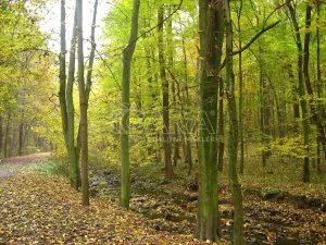 Pronájem bytu 2+kk, Praha - Libuš, K lukám, 43 m2