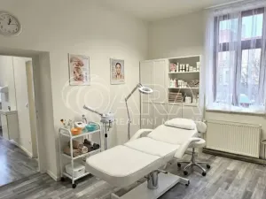 Pronájem obchodního prostoru, Králův Dvůr - Počaply, Plzeňská, 18 m2