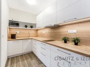 Prodej bytu 2+kk, Říčky v Orlických horách, 59 m2