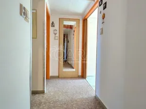 Prodej bytu 2+1, Přeštice, Červenkova, 64 m2