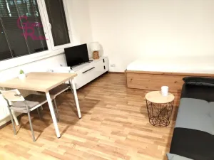 Pronájem bytu 1+kk, Brno, Kollárova, 27 m2