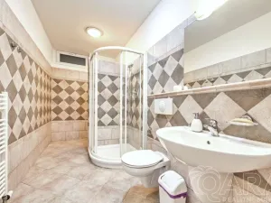 Pronájem rodinného domu, Dolní Břežany, V Úvozu, 380 m2