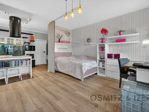 Prodej bytu 1+kk, Praha - Hostavice, Hrabovská, 70 m2