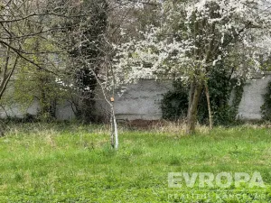 Prodej zahrady, Hranice, 1441 m2