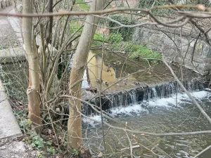 Prodej zahrady, Hranice, 1441 m2