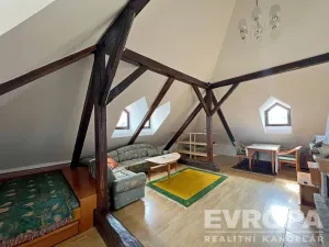 Pronájem bytu 1+kk, Hranice, Teplická, 60 m2