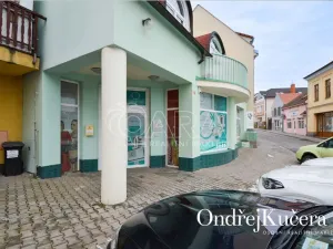 Prodej činžovního domu, Kladno, Dr. Vrbenského, 222 m2