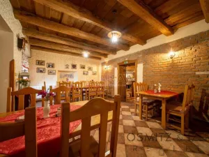 Prodej ubytování, Vikýřovice, Petrovská, 1063 m2