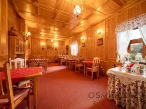 Prodej ubytování, Vikýřovice, Petrovská, 1063 m2