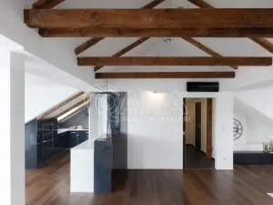 Pronájem bytu 4+kk, Praha - Vršovice, Bělocerkevská, 146 m2