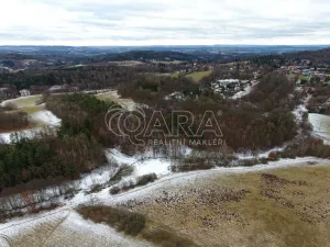 Prodej lesa, Velké Popovice, 19731 m2