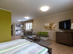 Pronájem bytu 1+kk, Starý Jičín - Vlčnov, 49 m2