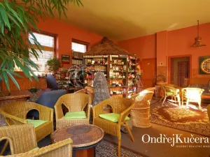 Prodej činžovního domu, Kladno, Osvoboz. pol. vězňů, 1000 m2