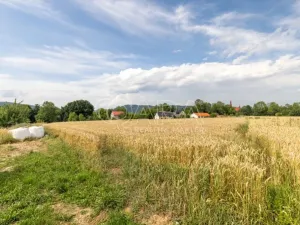 Prodej pozemku pro bydlení, Vražné, 4254 m2