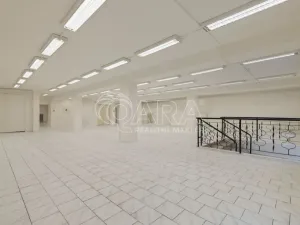 Pronájem obchodního prostoru, Nový Jičín, Masarykovo nám., 500 m2