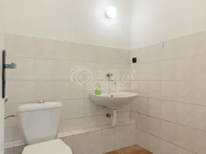 Pronájem obchodního prostoru, Nový Jičín, Masarykovo nám., 500 m2