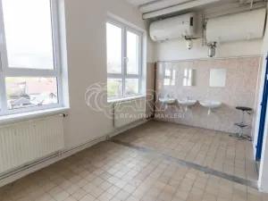 Pronájem skladu, Frenštát pod Radhoštěm, Martinská čtvrť, 484 m2