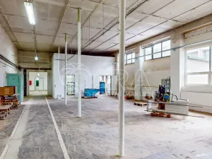 Prodej výrobních prostor, Luby, 1300 m2