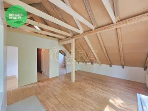 Prodej bytu 2+kk, Jindřichův Hradec - Jindřichův Hradec II, El. Krásnohorské, 20 m2