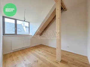 Prodej bytu 2+kk, Jindřichův Hradec - Jindřichův Hradec II, El. Krásnohorské, 20 m2