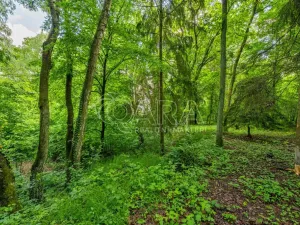 Prodej pozemku pro bydlení, Hrubá Skála, 5519 m2