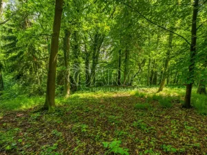 Prodej pozemku pro bydlení, Hrubá Skála, 5519 m2