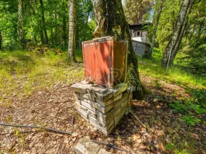 Prodej pozemku pro bydlení, Hrubá Skála, 5519 m2