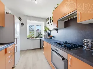 Prodej rodinného domu, Vyškov - Opatovice, 191 m2