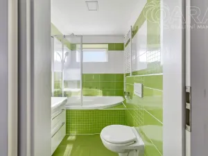 Prodej rodinného domu, Vyškov - Opatovice, 191 m2