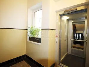 Pronájem bytu 1+kk, Praha - Holešovice, U průhonu, 31 m2