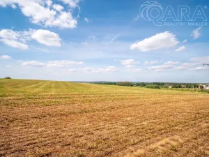 Prodej komerčního pozemku, Dolní Kralovice, 10347 m2