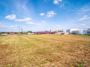 Prodej komerčního pozemku, Dolní Kralovice, 10347 m2