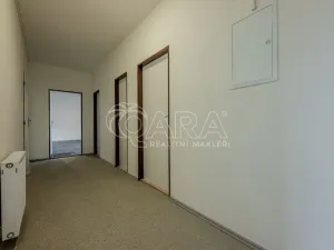Pronájem obchodního prostoru, Vestec, Vestecká, 252 m2