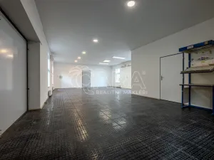 Pronájem obchodního prostoru, Vestec, Vestecká, 252 m2