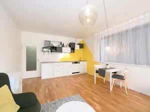 Pronájem bytu 1+kk, Praha - Smíchov, Plzeňská, 43 m2