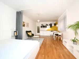 Pronájem bytu 1+kk, Praha - Smíchov, Plzeňská, 43 m2