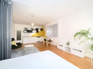 Pronájem bytu 1+kk, Praha - Smíchov, Plzeňská, 43 m2