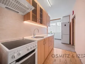 Prodej bytu 3+1, Litoměřice - Předměstí, Družstevní, 70 m2