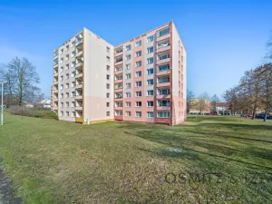 Prodej bytu 3+1, Litoměřice - Předměstí, Družstevní, 70 m2