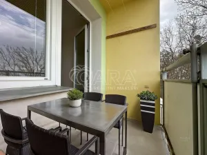 Pronájem bytu 3+1, Paseka, 66 m2